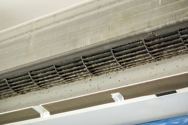 Best HVAC System Cleaning  in Cold Spring, NY